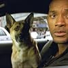 Will Smith and Abbey in I Am Legend (2007)