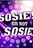 Sosie! Or Not sosie? (TV Series 2011– ) Poster