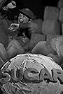 Sugar! (2018)