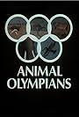 Animal Olympians (1980)