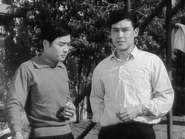 Dong gang die ying (1978)