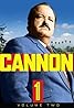 Cannon (TV Movie 1971) Poster