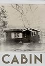 Cabin (2017)