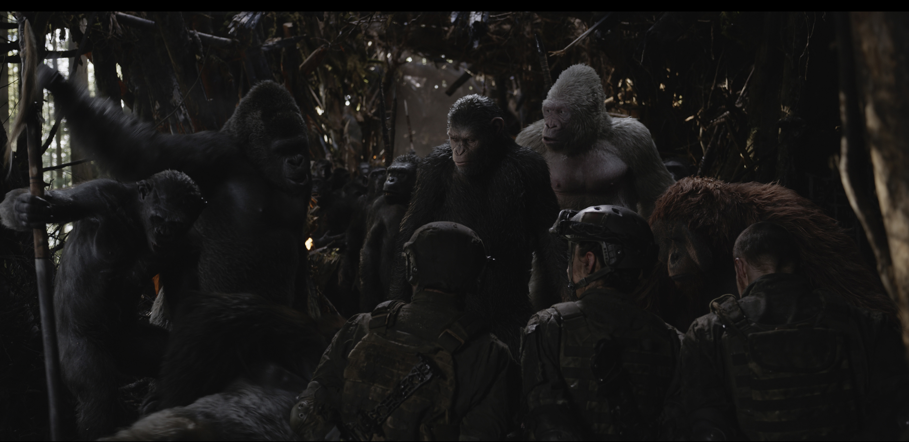 Aleks Paunovic, Karin Konoval, Ty Olsson, Andy Serkis, Terry Notary, and Michael Adamthwaite in War for the Planet of the Apes (2017)