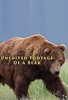 Unedited Footage of a Bear