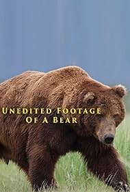 Unedited Footage of a Bear (2014)