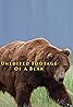 Unedited Footage of a Bear (TV Short 2014) Poster