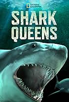 Shark Queens