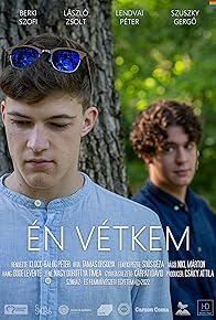 Primary photo for Én vétkem