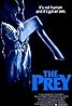 The Prey (1983) Poster