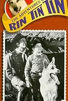 The Adventures of Rin Tin Tin