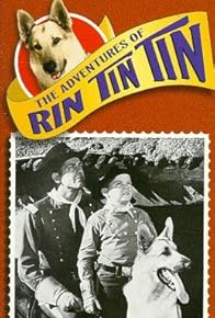 Primary photo for Decision of Rin Tin Tin