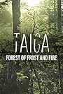 The Last Roar of the Taiga (2004)