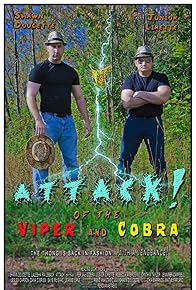 Primary photo for Attack! of the Viper and Cobra