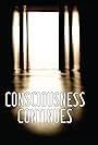 Consciousness Continues (2017)