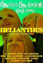 Helianthus (2022)