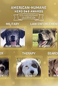 Primary photo for American Humane Hero Dog Awards: 10th Anniversary Celebration