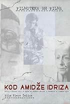 Kod amidze Idriza