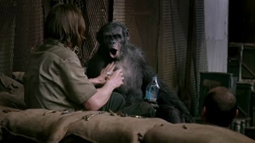 Dawn Of The Planet Of The Apes: Koba (Chinese Subtitled)