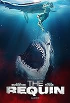 The Requin