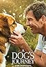 Mes autres vies de chien (2019) Poster