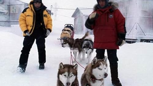 Eight Below