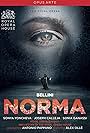 Norma (2017)