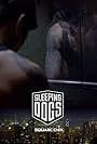 Sleeping Dogs (2012)