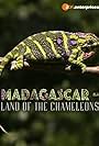 Madagascar: Land of the Chameleons (2012)