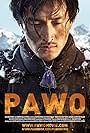 Pawo (2016)