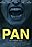 Pan