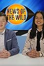 News of the Wild (2018)