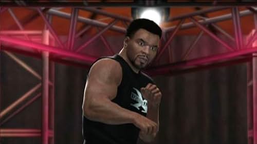 WWE 13 (VG)