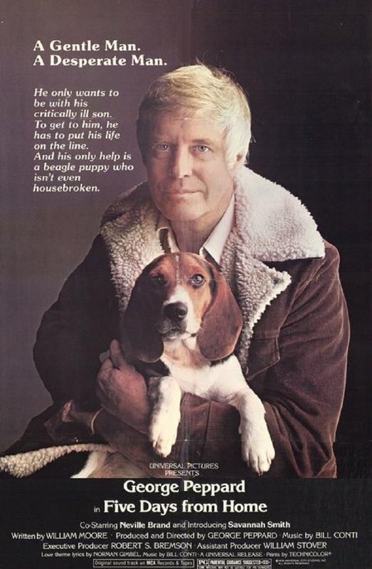 George Peppard in Five Days from Home (1978)