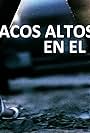 Tacos altos en el barro (2014)