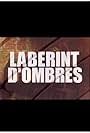 Laberint d'ombres (1998)