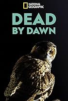 Dead by Dawn (2019)