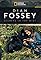 Dian Fossey: Secrets in the Mist's primary photo