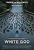 White God (2014) Poster