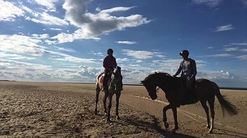 Galloping on Holkham Beach