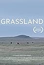 Grassland (2023)