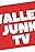 Valley Junk TV