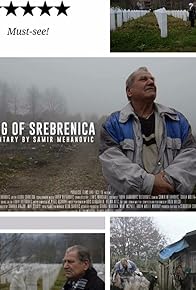 Primary photo for The Fog of Srebrenica