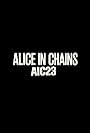 Alice in Chains: AIC 23 (2013)