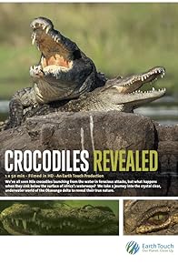 Primary photo for Crocodiles Revealed