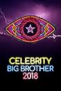 Celebrity Big Brother (2001)