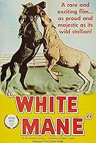 White Mane (1953)