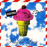 Primary photo for Duran Duran: Perfect Day