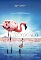 The Crimson Wing: Mystery of the Flamingos