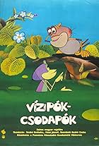 Vizipók-Csodapók